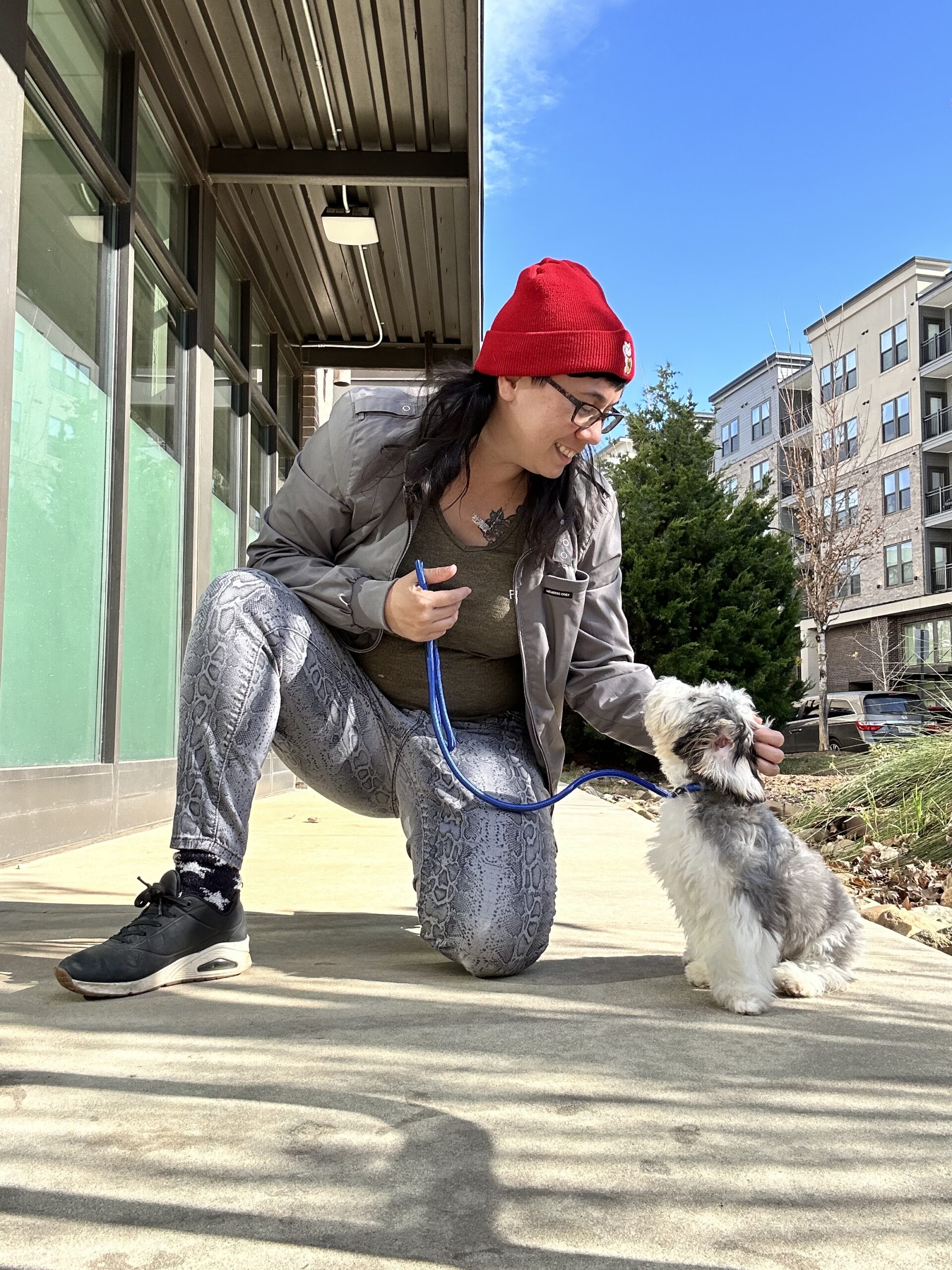 dog training near me